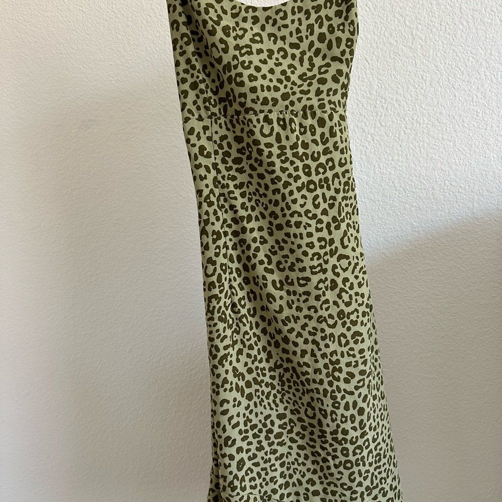 Zara Leopard Print Dress